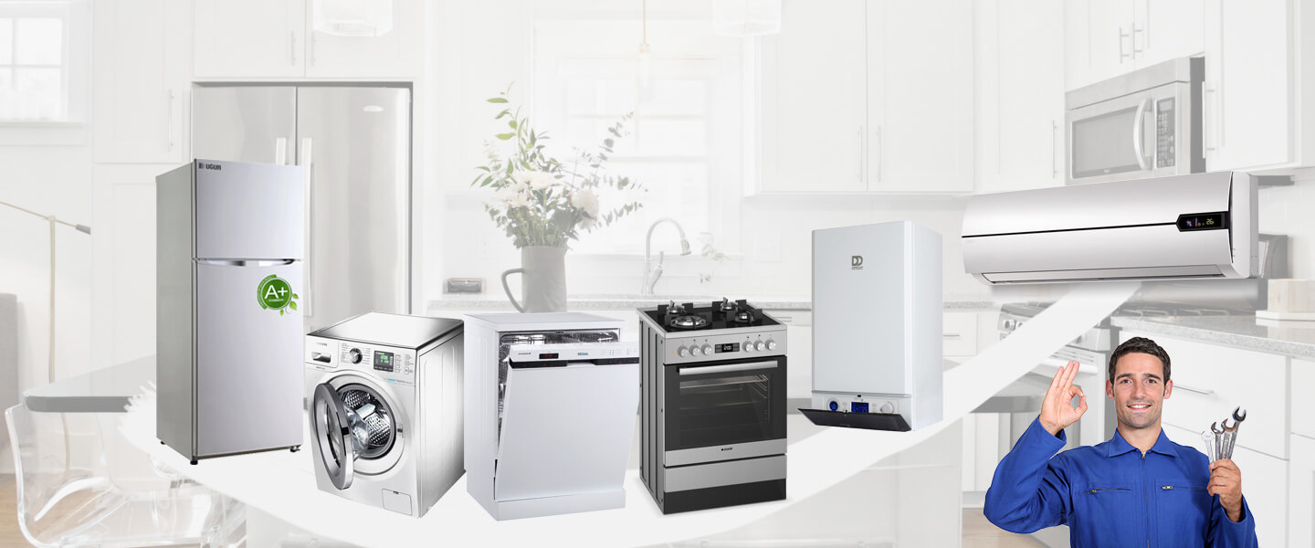 Reisdere Philips Servisi